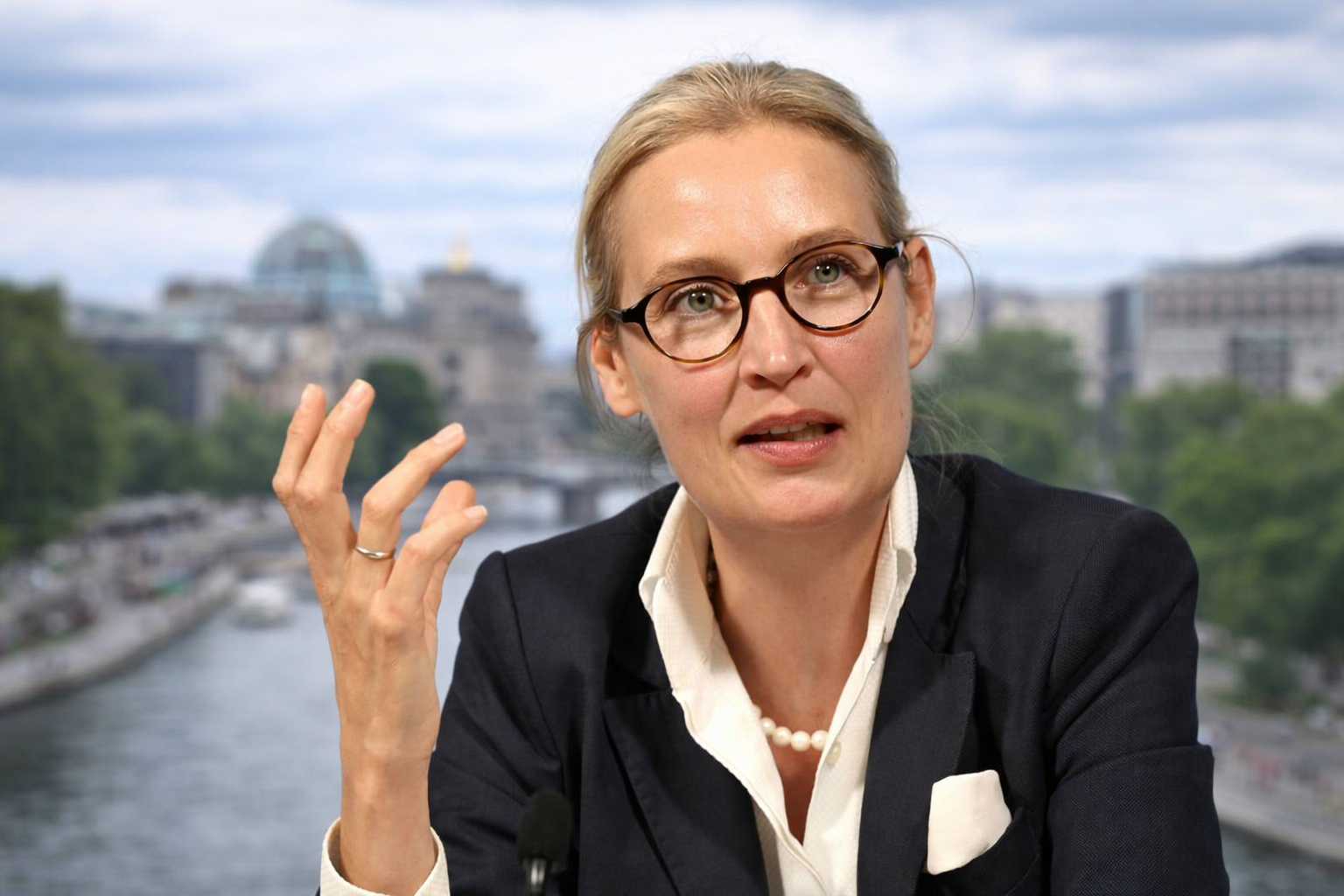 alice weidel hörgerät